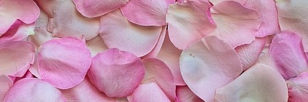 Energie update Witte Hond levenspad 12 - 26 april 2019: Leef met hart en ziel!